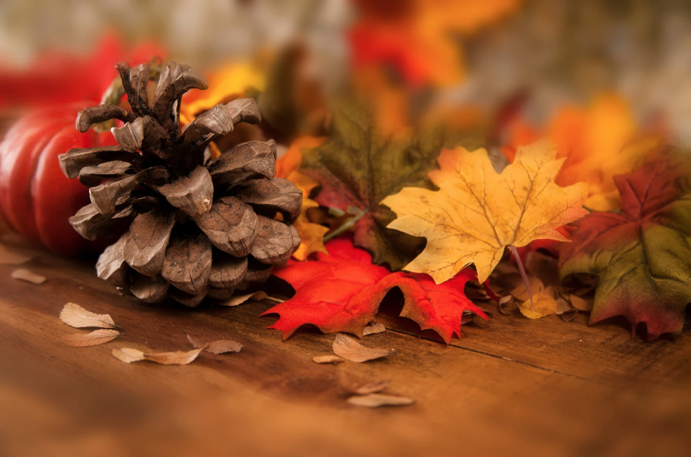 Recycle Thanksgiving Decorations With a Dumpster in El Paso